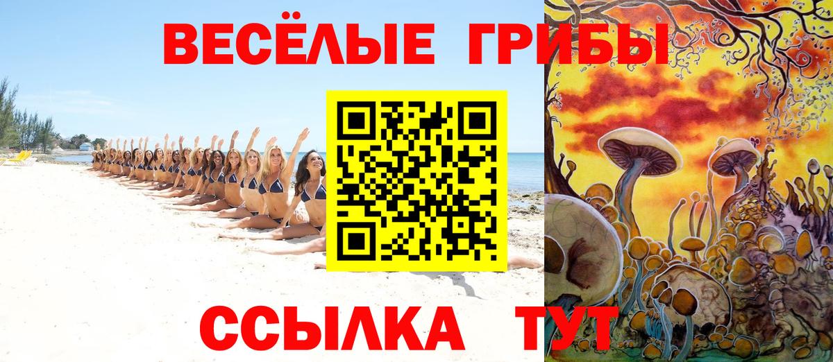 Псилоцибиновые грибы Magic Shrooms  Вход с VPN  Коммунар  Псилоцибиновые грибы мухоморы 